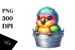 Colorful Baby Parrot Bucket PNG Product Image 1