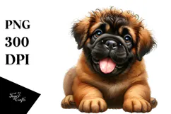 Baby Bullmastiff with Big Eyes PNG Product Image 1