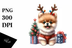 Crazy Pomeranian Portrait PNG Product Image 1