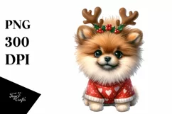 Crazy Pomeranian Portrait PNG Product Image 1
