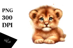Baby Lion Transparent PNG Product Image 1