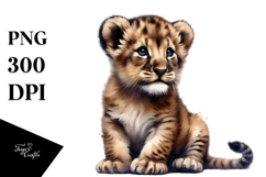Baby Lion Transparent PNG Product Image 1