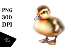 Baby Duck with Big Eyes PNG Product Image 1