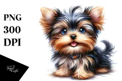 Baby Yorkshire Terrier with Big Eyes PNG Product Image 1