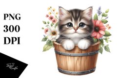 Cute Baby Cat in Wood Bucket PNG Product Image 3