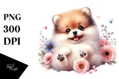 Happy Pomeranian Baby PNG Product Image 1