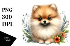 Happy Pomeranian Baby PNG Product Image 1