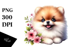 Happy Pomeranian Baby PNG Product Image 1