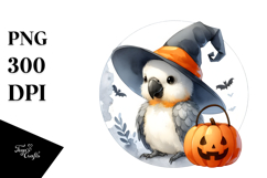 Cute Macaw with Party Hat PNG Product Image 1