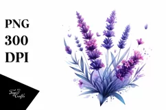 A Glossy Lavender Clipart with Watercolor Splash Product Image 1