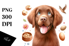 Happy Cartoon Chesapeake Bay Retriever Baby PNG Product Image 1
