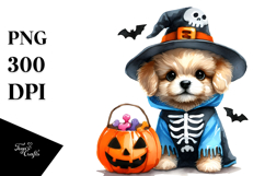 Boho Witch and Cat Halloween PNG Product Image 1