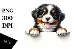 Small Bernese Mountain Dog Watercolor Clipart Product Image 1