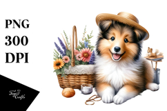 Watercolor Baby Collie with Big Eyes PNG Product Image 1