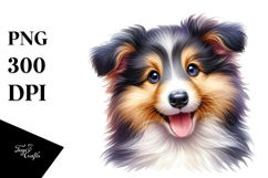 Watercolor Baby Collie with Big Eyes PNG Product Image 1