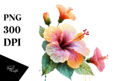 Hibiscus Watercolor Splash PNG Product Image 1