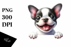 Funny Baby Boston Terrier Eyes Smiling | Clipart Product Image 1