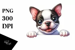 Funny Baby Boston Terrier Eyes Smiling | Clipart Product Image 3
