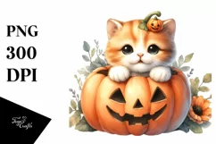 Baby Kitten Popping Out PNG Product Image 1