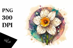 Wooden Narcissus Watercolor Splash Product Image 3