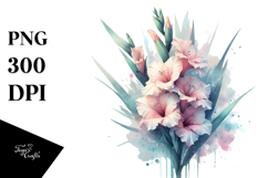 Gladiolus, PNG Product Image 1