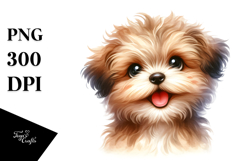 Baby Bichpoo Watercolor PNG Product Image 1