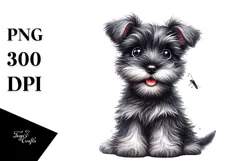 Baby Miniature Schnauzer with Big Eyes PNG Product Image 1