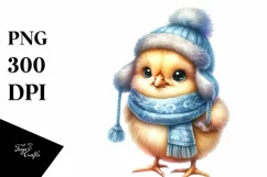 Watercolor Baby Chicken in Winter Clothes, Transparent PNG Product Image 3