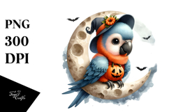 Vibrant Macaw in Halloween Costume, High-Res PNG Product Image 1