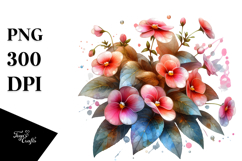 Impatiens Watercolor Splash PNG Product Image 1