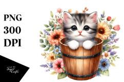 Cute Baby Cat with Big Eyes PNG Product Image 1