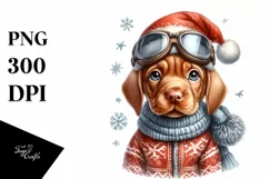 a Winter Baby Vizsla PNG with Santa Hat Product Image 1
