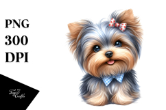 Cute Yorkshire Terrier with Big Eyes Product Image 1