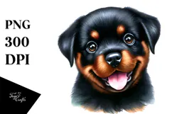 Cute Baby Rottweiler PNG Product Image 1