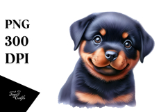 Cute Baby Rottweiler PNG Product Image 1