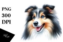Cute Collie with Big Eyes Product Image 1
