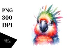 Sublimation|Clipart Product Image 1