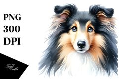 Watercolor Cute Collie Sublimation Clipart Product Image 1