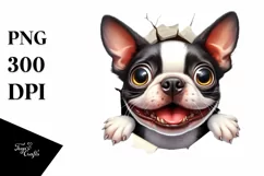 Funny Boston Terrier Watercolor Clipart Product Image 3