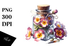 Bottle with Primrose Watercolor Clipart Product Image 3