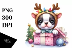 Expressive Baby Boston Terrier, Winter PNG Product Image 1