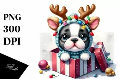 Baby Boston Terrier with Holiday Gift, Transparent PNG Product Image 1