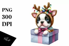 Expressive Baby Boston Terrier, Winter PNG Product Image 1