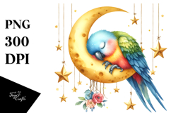 Vibrant Baby Parrot Sleeping on the Moon PNG Product Image 1