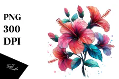 Hibiscus Illustration, PNG Product Image 1