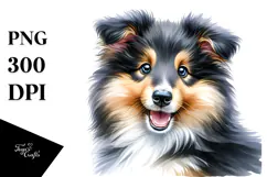 Cute Baby Collie, High-Res PNG Product Image 1