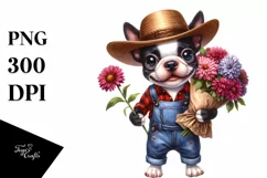 Watercolor Boston Terrier Farm Jeans Sublimation Clipart Product Image 1