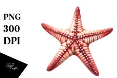 Sublimation|Clipart Product Image 3