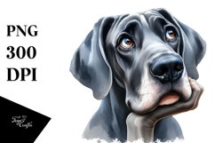 Watercolor Great Dane Thoughtful Smiling Clipart Product Image 1