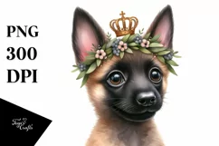 Watercolor Baby Malinois Clipart Product Image 3